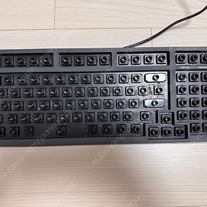 레오폴드 fc980c 풀윤활+기판흡음 빌드 45g 영문