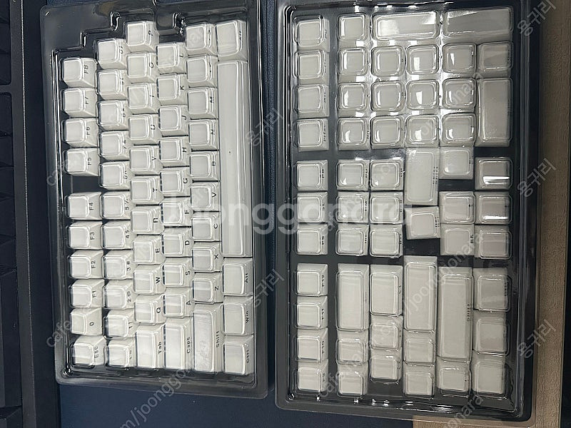 xvx 크리스탈 측각 젤리키캡 화이트--0