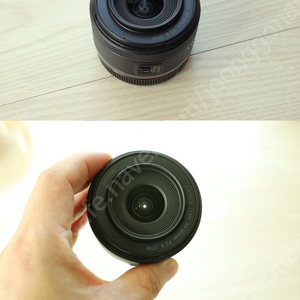 RF 16mm F2.8 STM 정품 판매