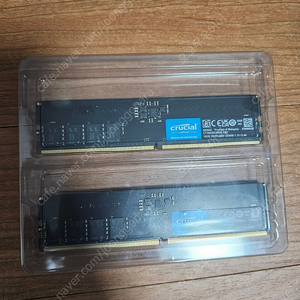 마이크론 크루셜 램 DDR5-5600 16기가 *2개 팝니다.