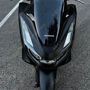 PCX 21년 abs 8566km