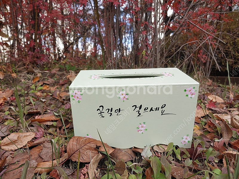 빨강머리앤 티슈함--2