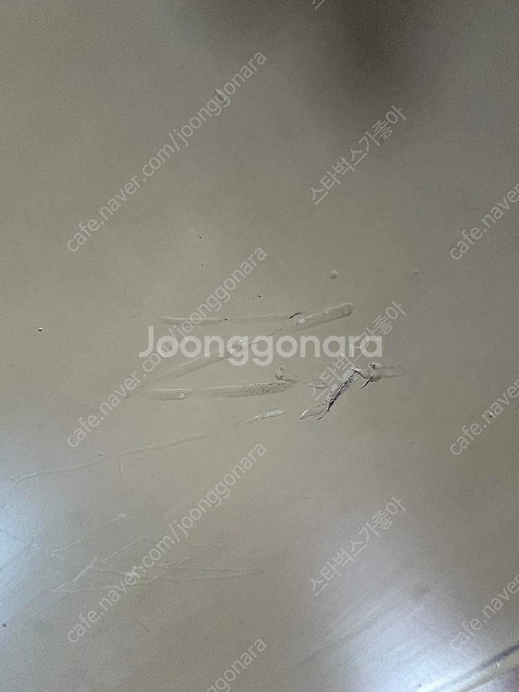 마들렌상점 비비추 거실장--6