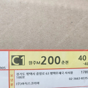 메타스피드스카이 파리 260사이즈 판매