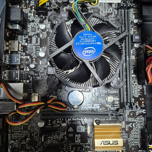 i5-6500 / H110M-A ASUS / RAM 16