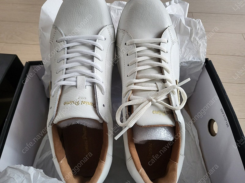 다니엘 프라임 골프화(DP-GT300) 280mm 새상품--3