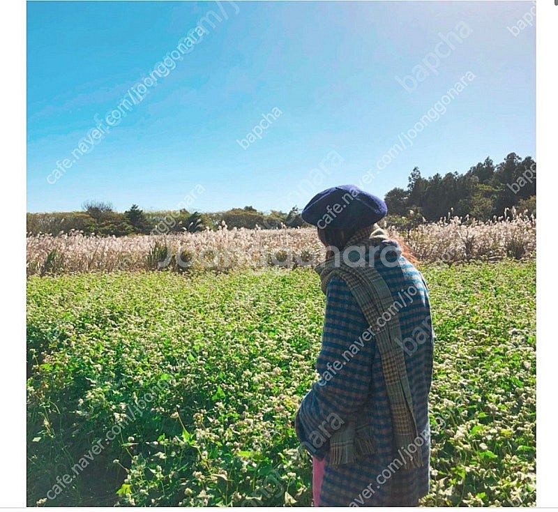 율하네 율하맘 하프자켓--0