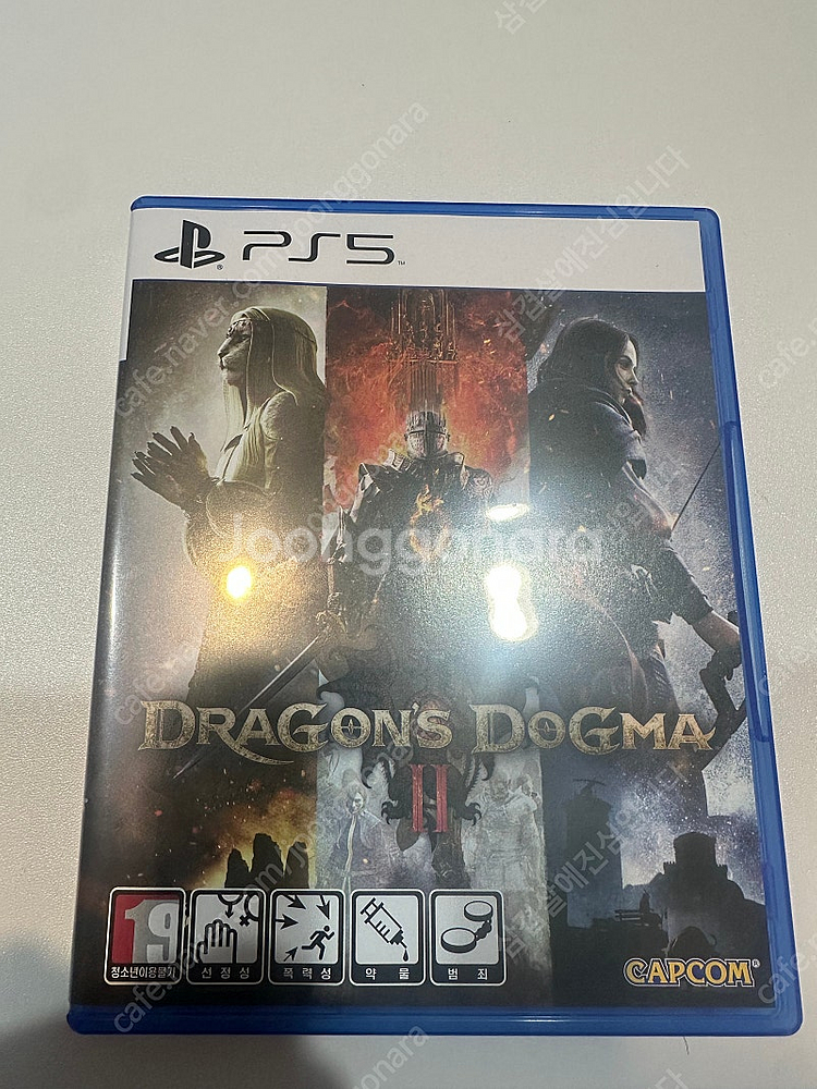 PS5 드래곤즈 도그마2--0