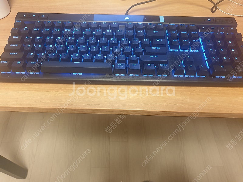 k70 rgb pro 적축 팝니다--1