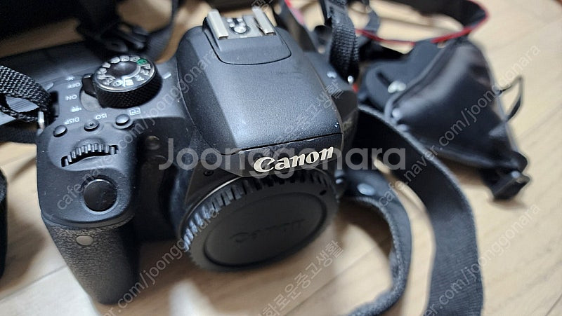 캐논 800D + 시그마 아트 삼식이--1