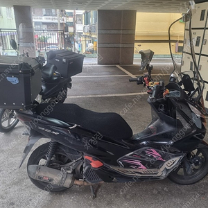 19년식 pcx150