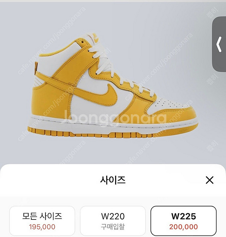 나이키 덩크 하이 다크 설퍼 225 실착 1회--1
