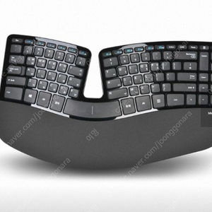 마이크로소프트 키보드 (Sculpt Ergonomic)