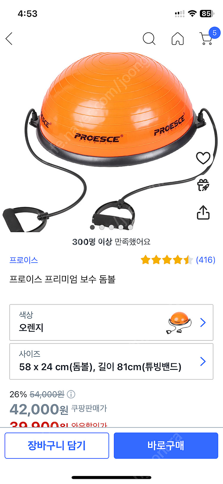 프로이스 프리미엄 보수 돔볼--2