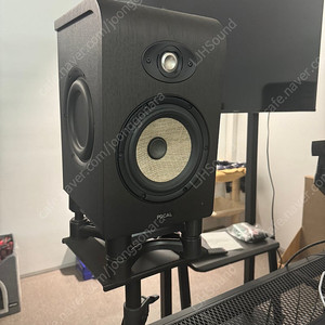 Focal Shape 65 + 아이소어쿠스틱 판매