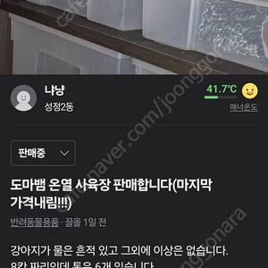 도마뱀 온열 사육장