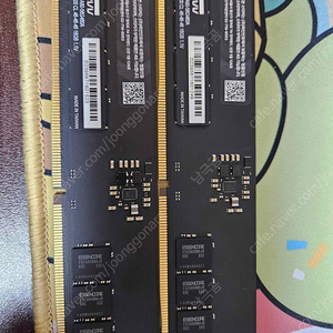 Klevv ddr5 cl46 5600 32gb (16gb*2)