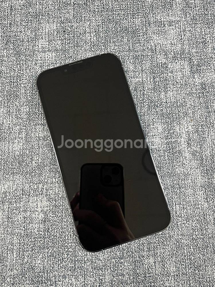 (초대용량) 아이폰13프로 1TB 시에라블루 외관깨끗한...--2