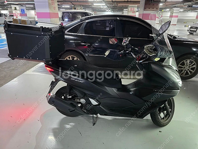 PCX125 24년 6월 1대본주--1