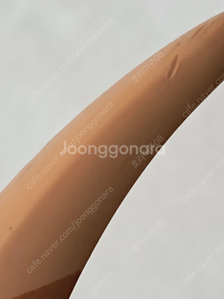 레고 공룡 티라노사우르스--5