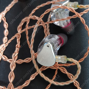 수월우 블레싱2 팝니다