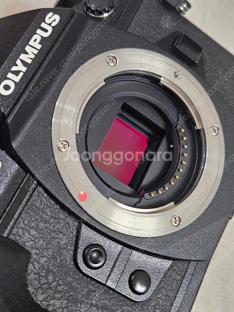 올림푸스 E-M1 M2(M1 mk2, 엠원막투), 12...--4