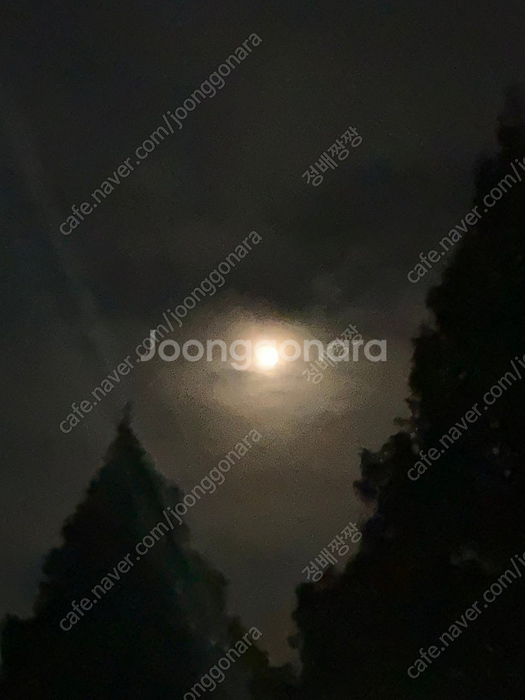 오늘 (26일) 대구 간송미술관 티켓 2장 구해봅니다--0