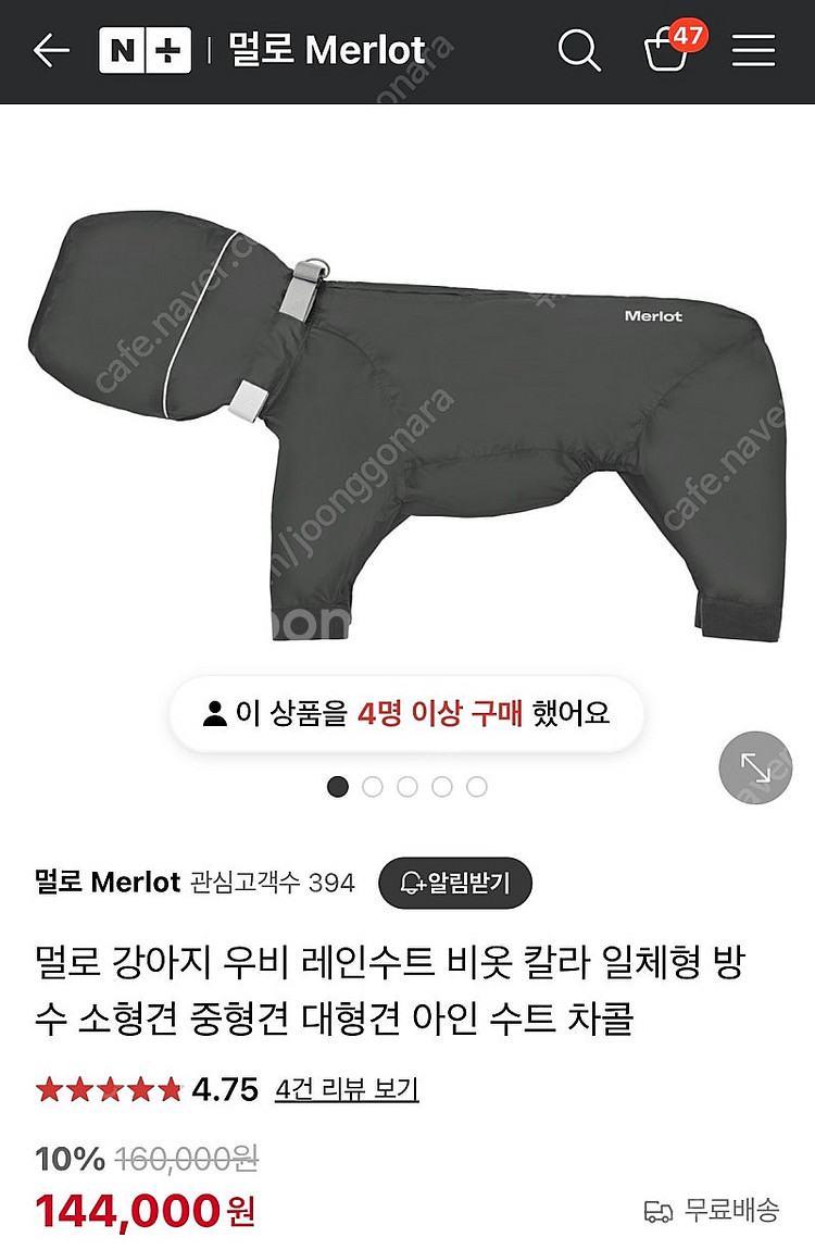멀로 아인 수트 차콜 컬러 L 강아지 올인원 일체형 비...--1
