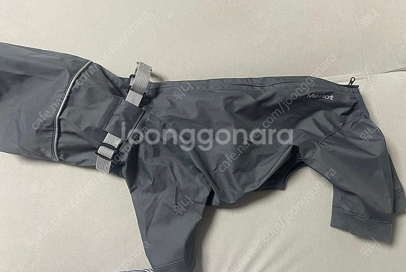 멀로 아인 수트 차콜 컬러 L 강아지 올인원 일체형 비...--2