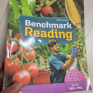 benchmark reading 5.1 5.2 5.3 6.2 6.3