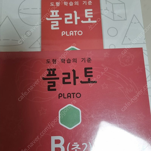 플라토 B단계