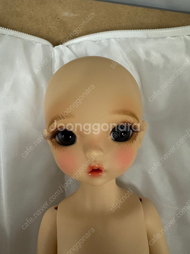 치카비 한정판 라떼몰리 판매합니다.--4