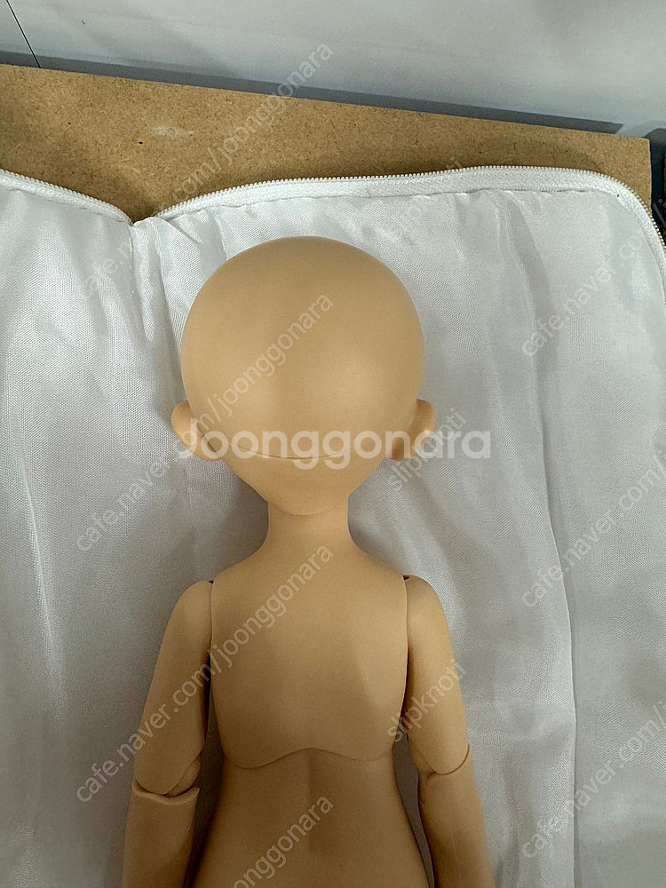 치카비 한정판 라떼몰리 판매합니다.--5