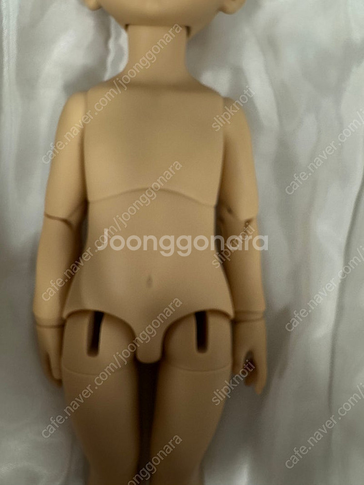 치카비 한정판 라떼몰리 판매합니다.--6