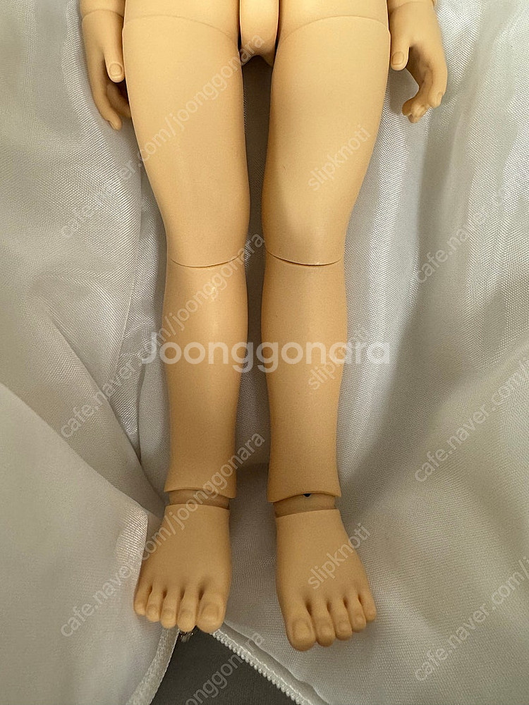 치카비 한정판 라떼몰리 판매합니다.--8