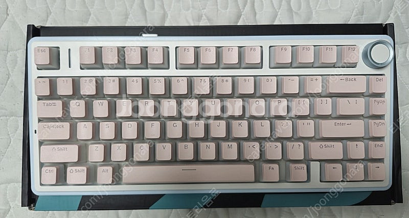 독거미 Aula F75 영문자판 [큐센 국내정품] [회...--0