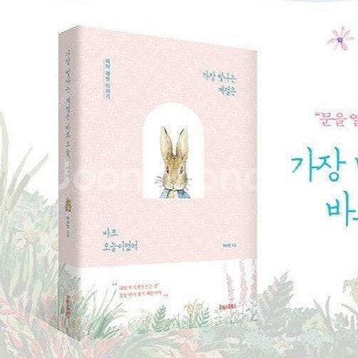 에세이)가장 빛나는 계절은 바로 오늘이였어 피터래빗 책--0