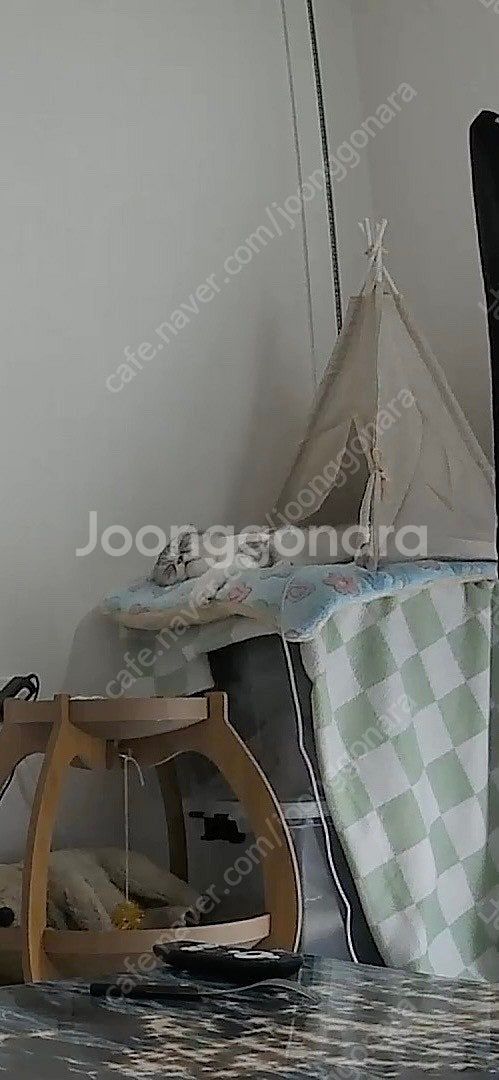아이폰 14프로맥스 팔거나 교환원해요 대구입니다--0