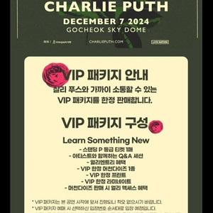 찰리푸스 내한 콘서트 vip 단석 원가양도