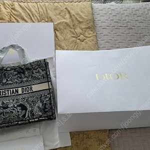 Dior Book Tote 라지 백