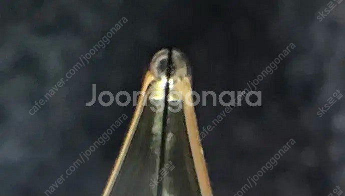 펠리칸 m800 그린 ef 보증서o 만년필--2