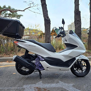 2022년식 혼다 PCX125 ABS 화이트 옵션차량 판매대차 합니당