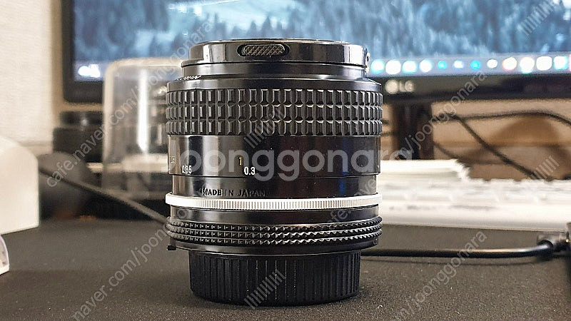 니콘 nikon MF AI 35mm f2 신형, 해바라...--2