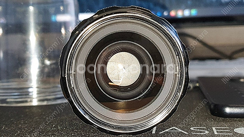 니콘 nikon MF AI 35mm f2 신형, 해바라...--9