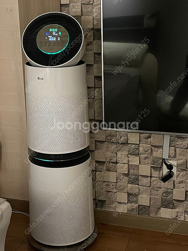 LG 퓨리케어 공기청정기 2단--6
