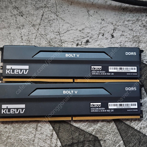 클레브 volt ddr5 6000 cl30 expo 32gb(16x2)