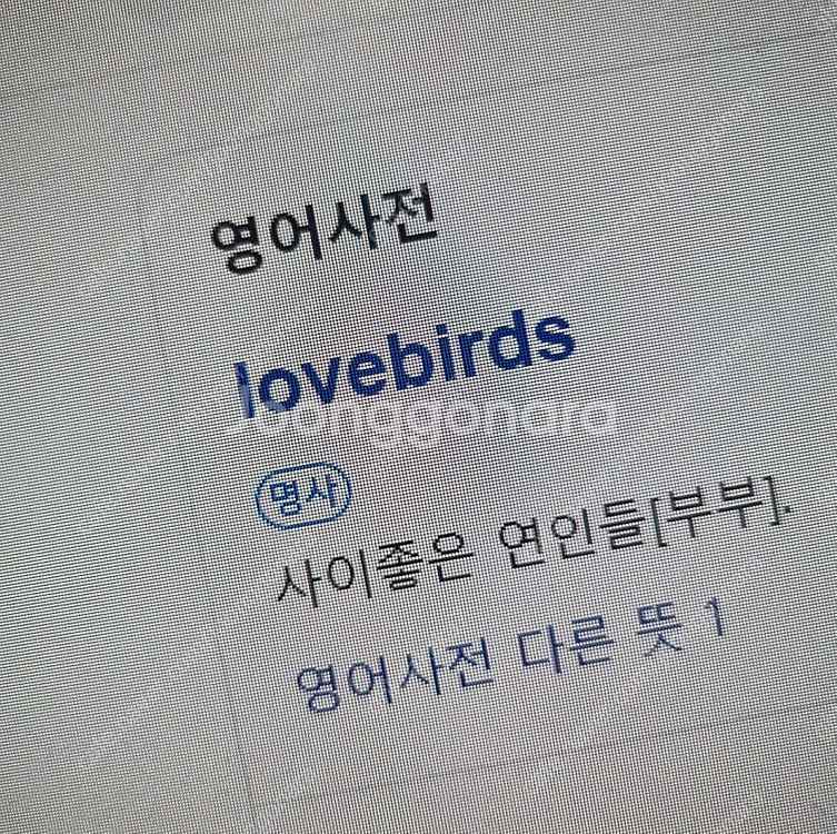 스캇 265 이지부스트 265 레플리카 삽니다 명품화 ...--0