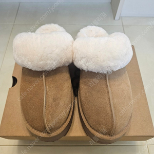 UGG 어그 디스케트 슬리퍼 체스트넛 240