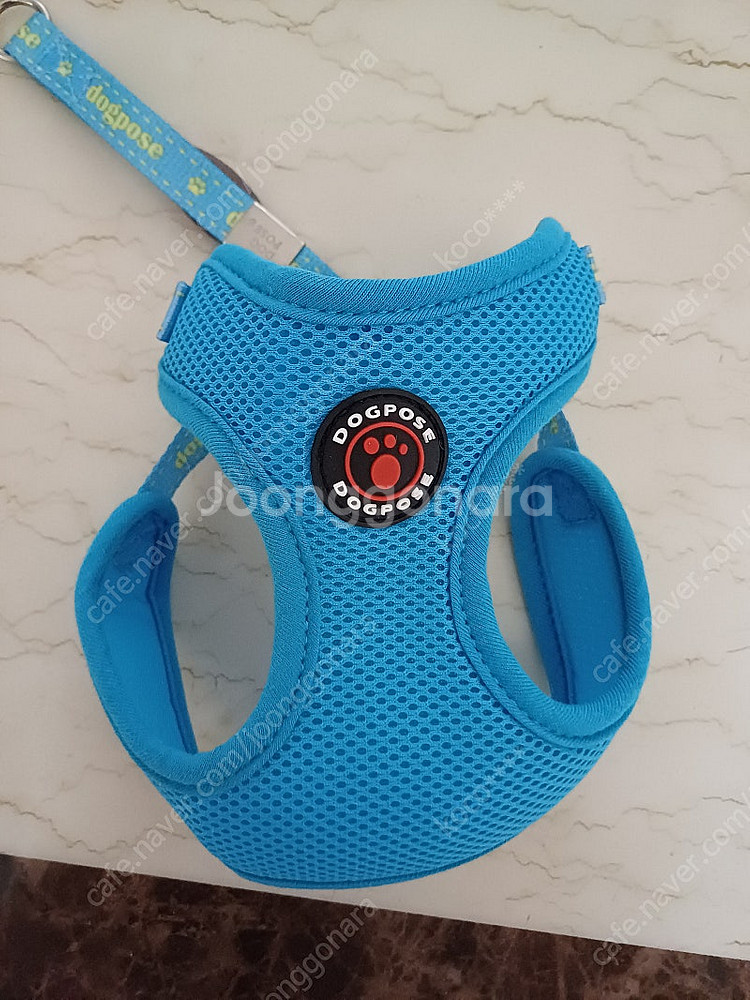 소형견 하네스--0