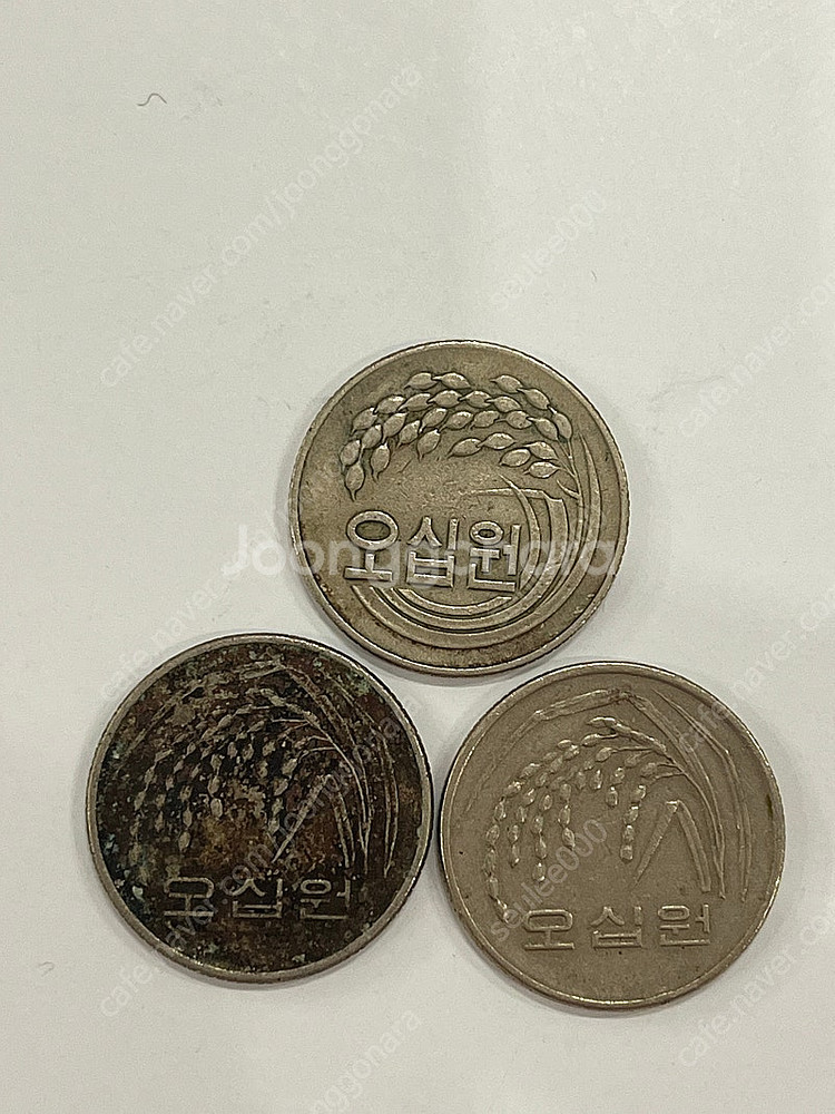 희귀동전 팔아요. 10원/50원--3